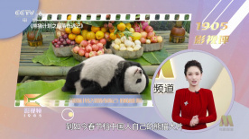 久久免费公开视频